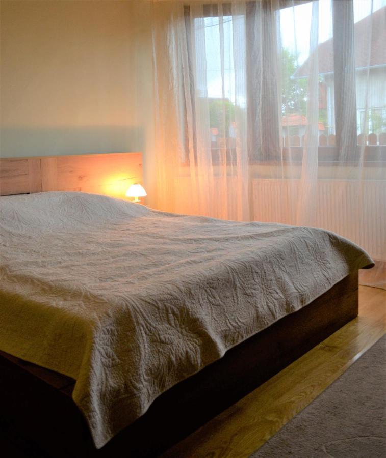 Rozsi Mama Villa Sovata Bagian luar foto