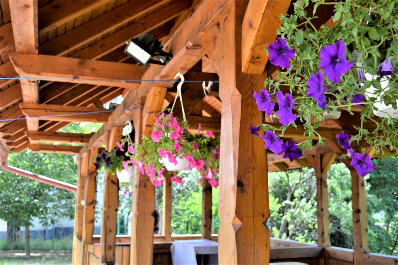 Rozsi Mama Villa Sovata Bagian luar foto