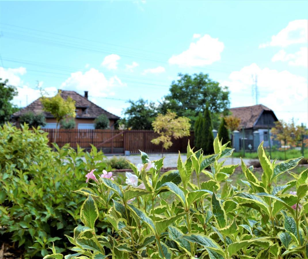 Rozsi Mama Villa Sovata Bagian luar foto
