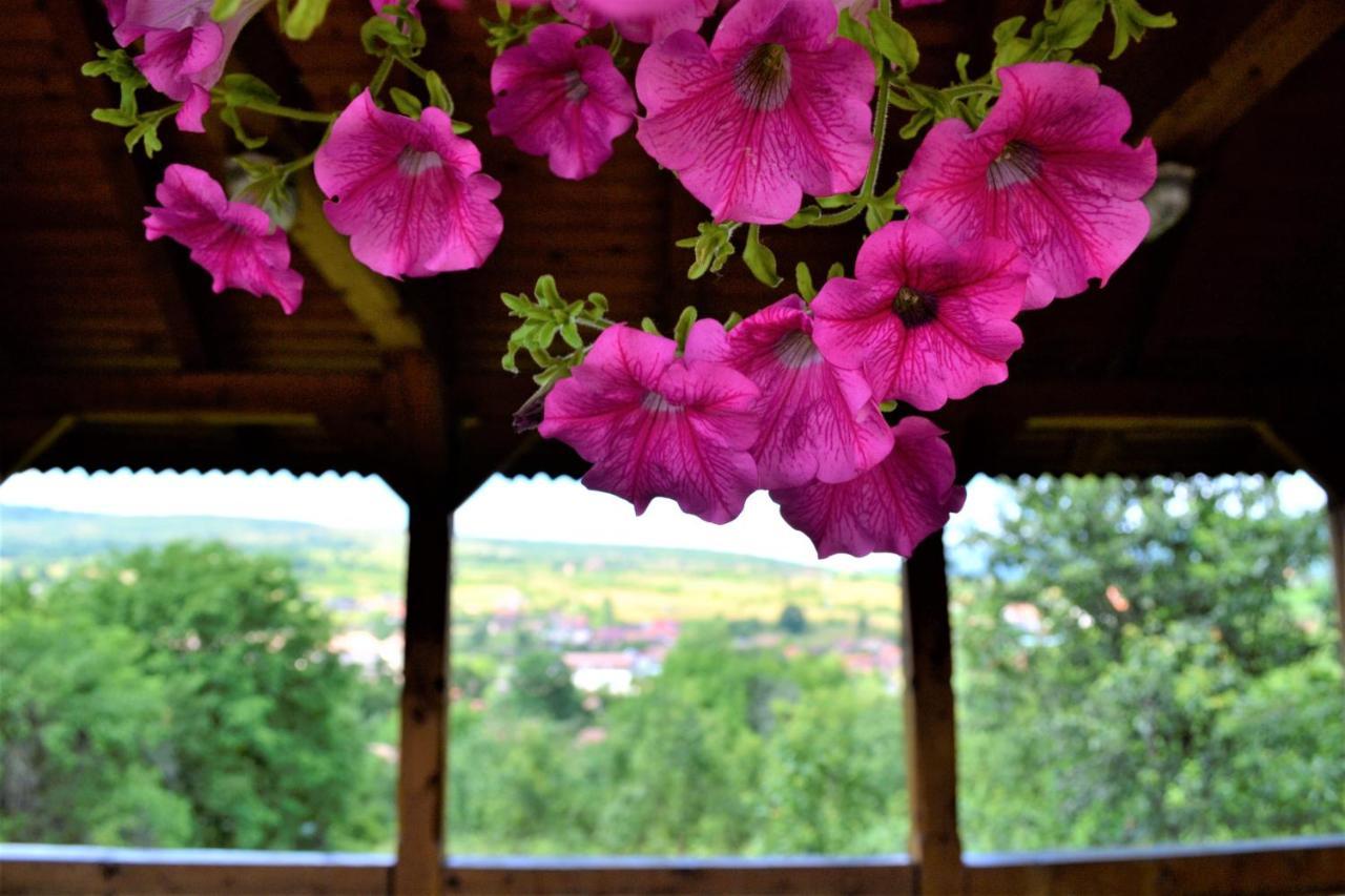 Rozsi Mama Villa Sovata Bagian luar foto