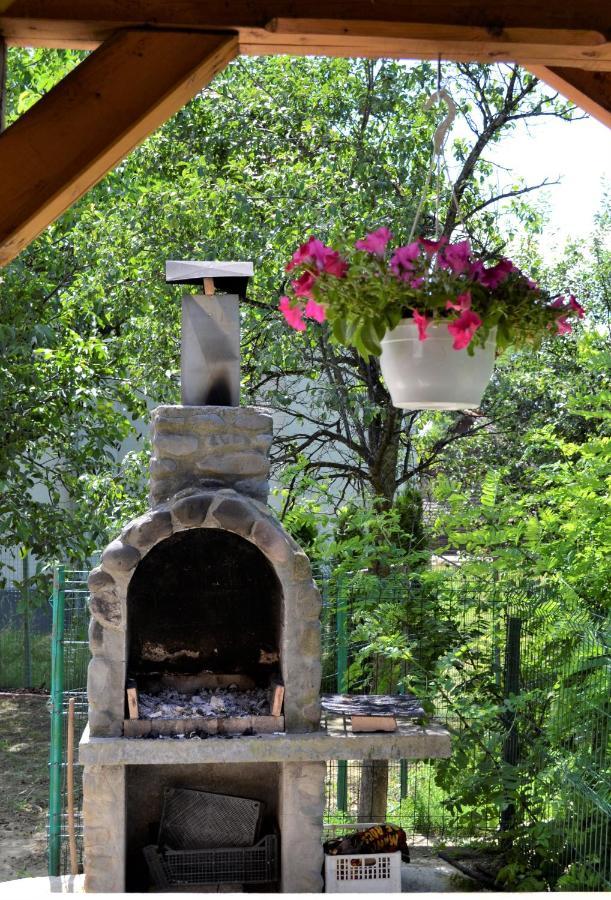 Rozsi Mama Villa Sovata Bagian luar foto
