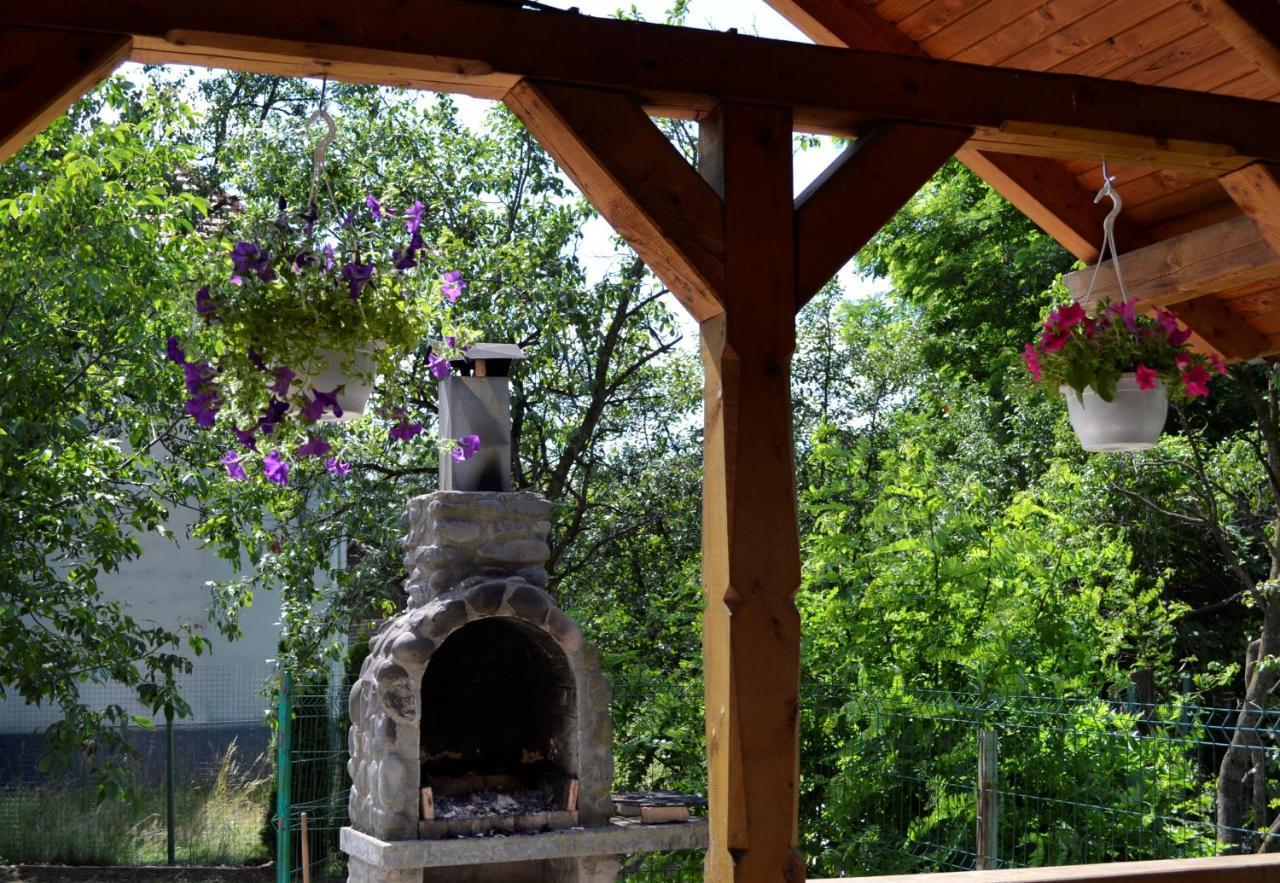 Rozsi Mama Villa Sovata Bagian luar foto